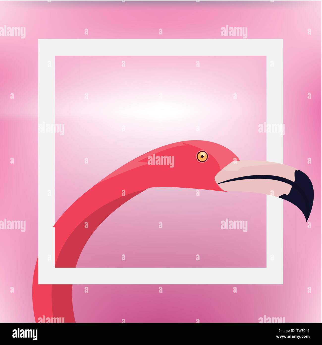 summer time holiday flamingo blur background vector illustration Stock ...
