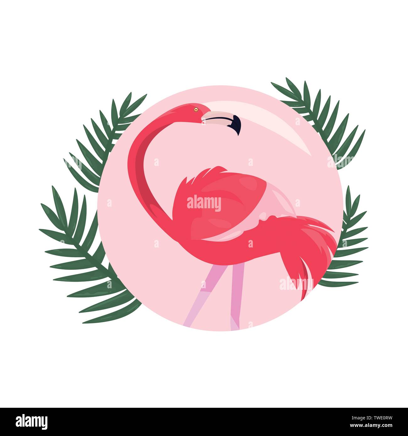 summer time holiday flamingo badge tropical leaves vector illustration ...