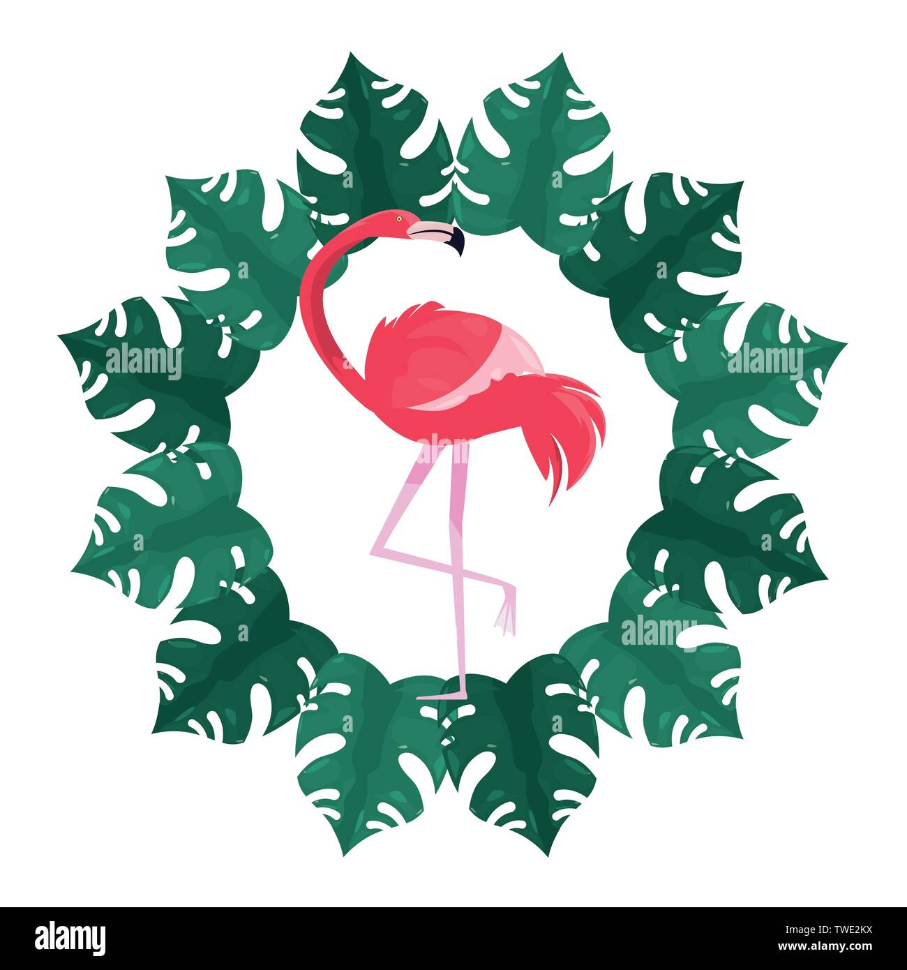 summer time holiday flamingo tropical frame vector illustration Stock ...