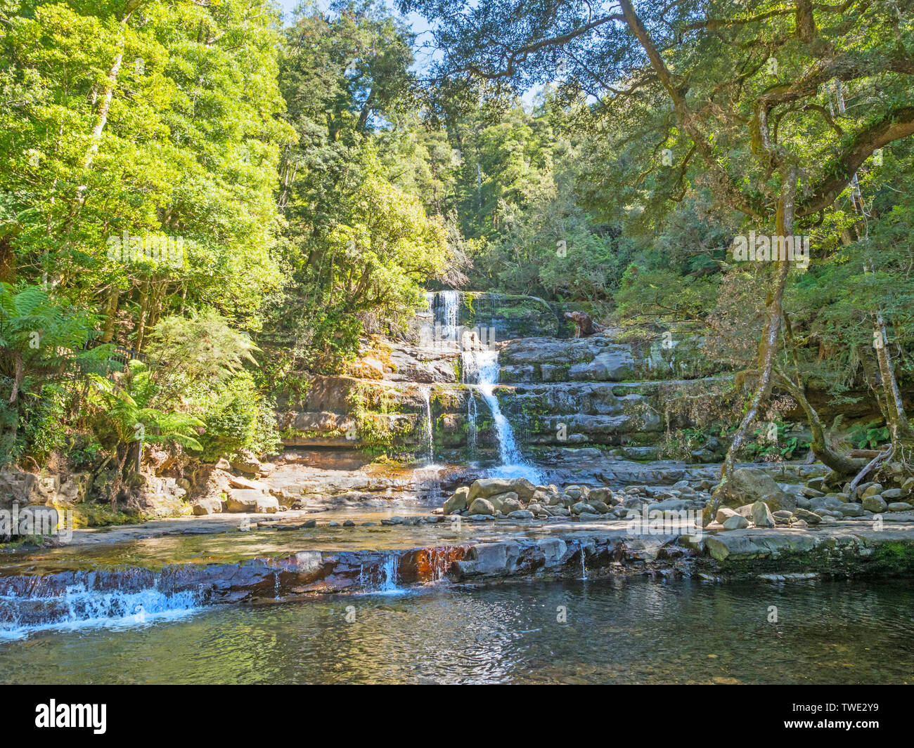 Victoria Falls, aka the Liffey Falls, is the major waterfall of a series of four waterfalls on the Liffey River, in the Midlands region of Tasmania. Stock Photo