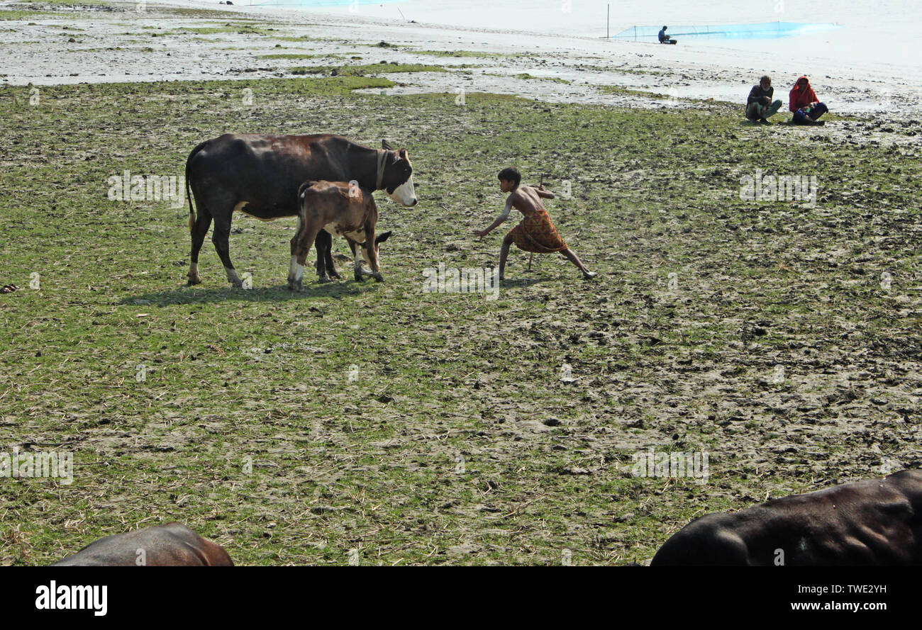 Human pets hi-res stock photography and images - Alamy