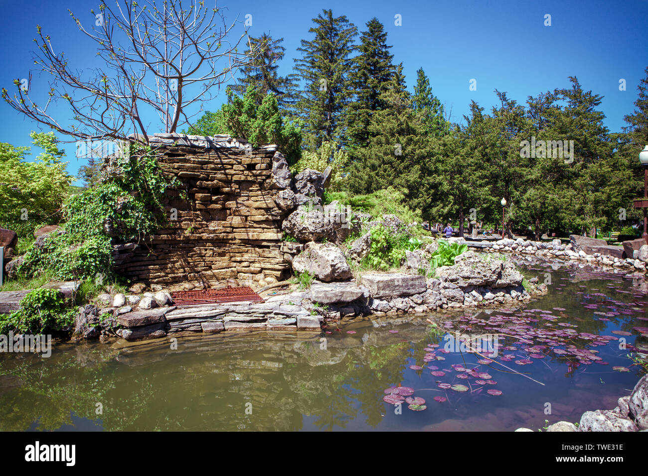 Twe Comp Paddle pond forest park hi-res stock photography and images - Alamy