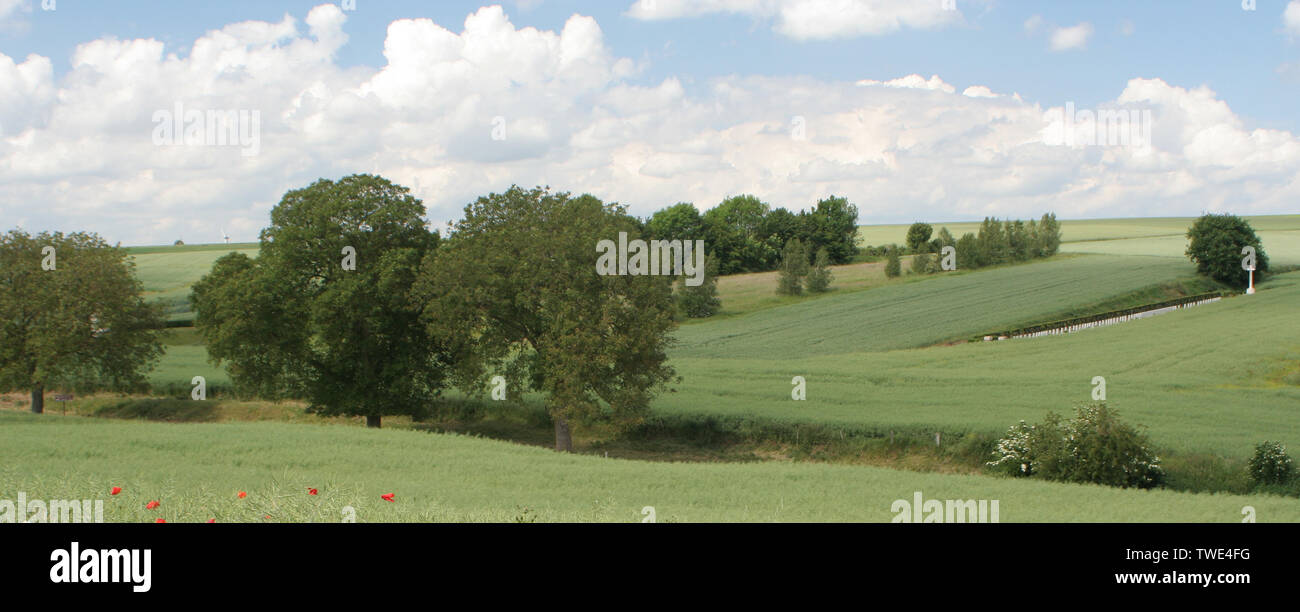 Hamels hi-res stock photography and images - Page 3 - Alamy