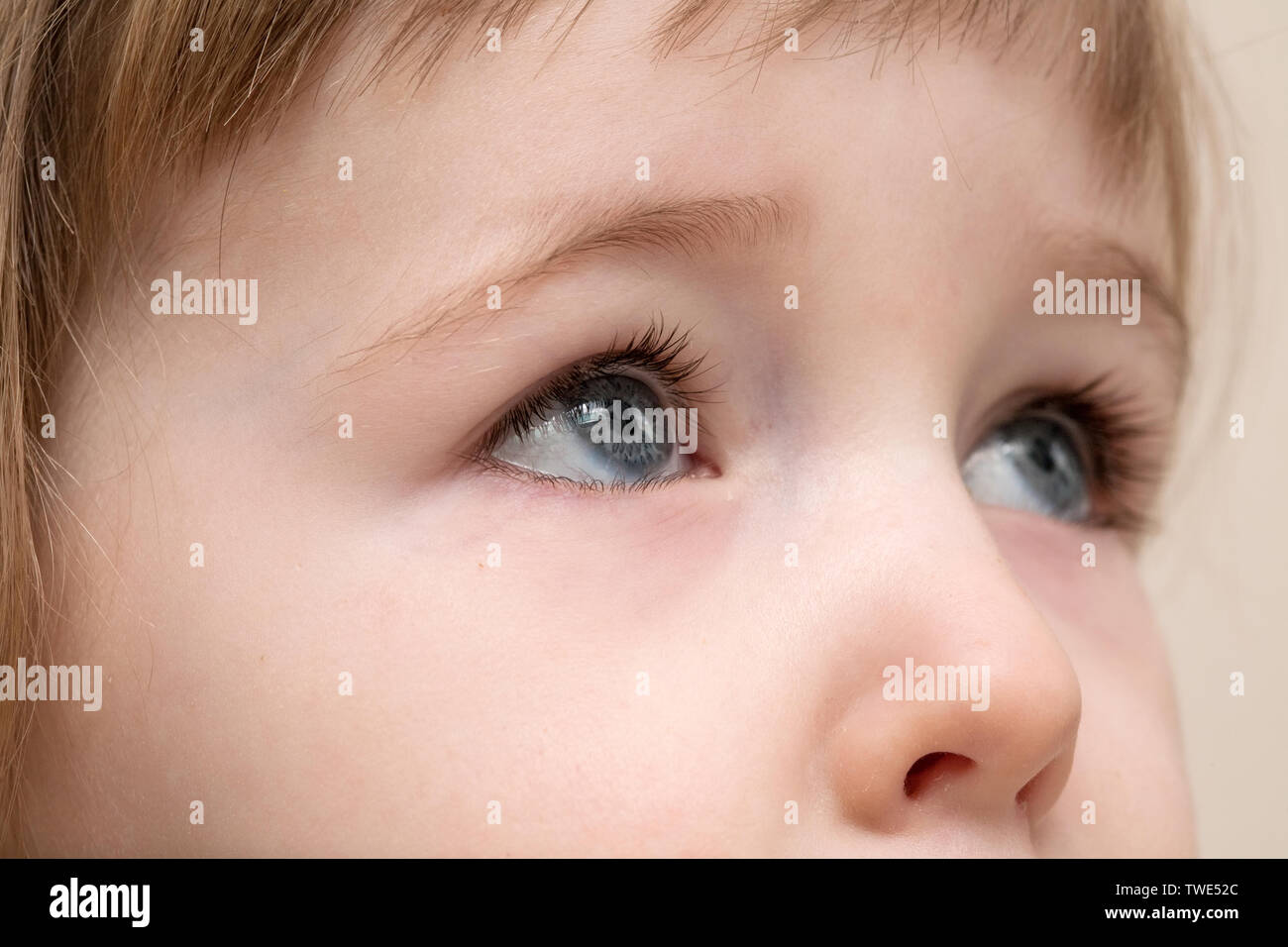 serious grey eyes of white three years old child face closeup view Stock Photo