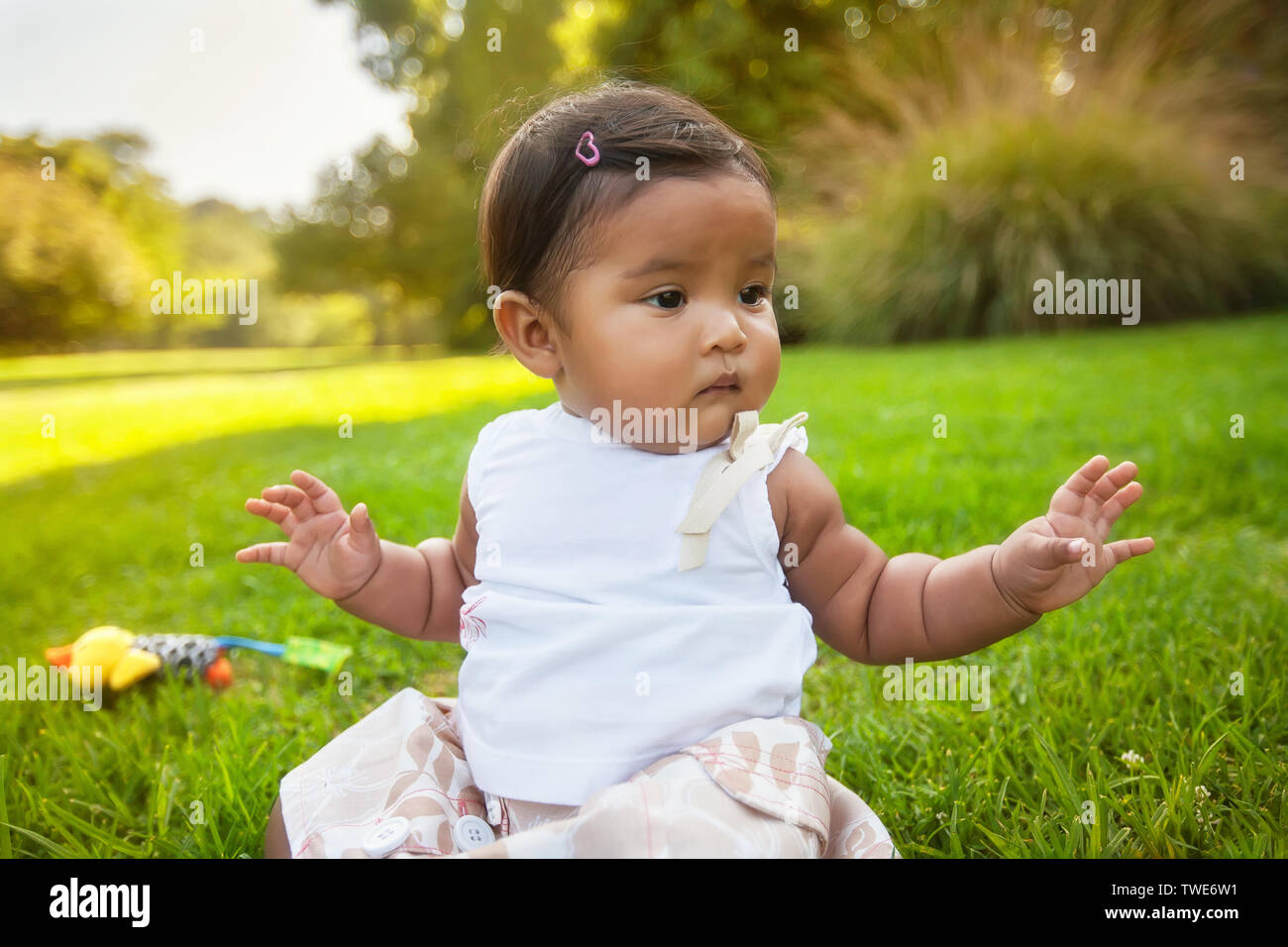 Unsupported hires stock photography and images Alamy