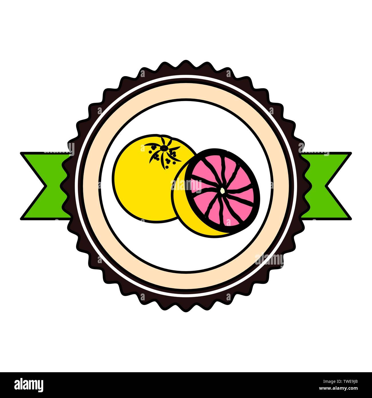 Tropical Fruits Design Stock Vector Image Art Alamy pin-on-art