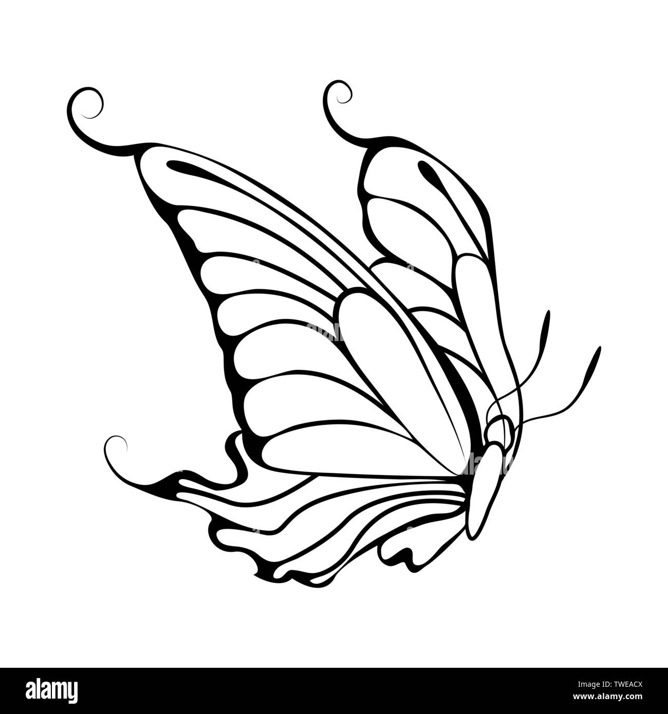 Sketch of Butterfly. Outline Design. Vector Illustration Stock ...