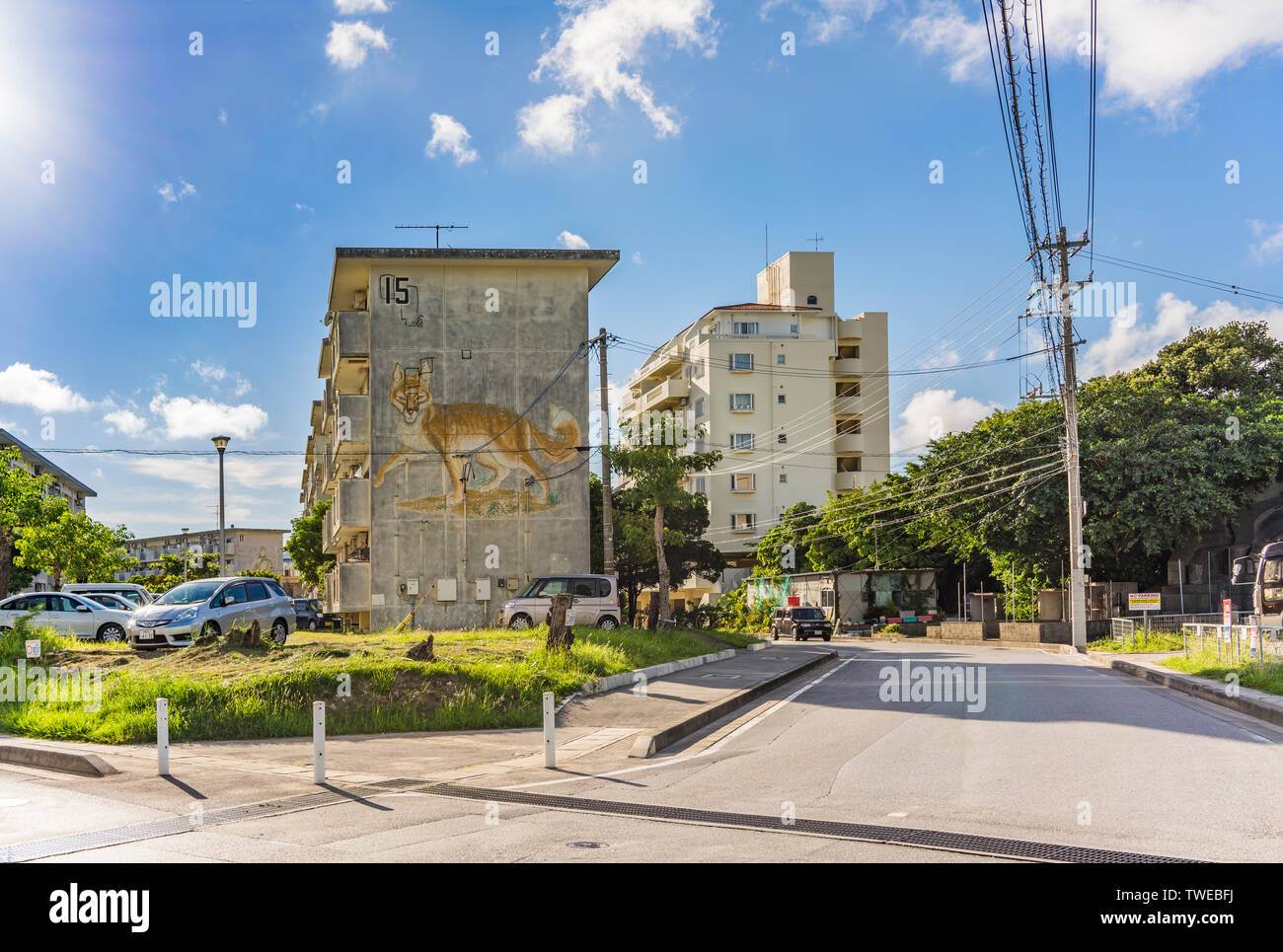 An old housing complex wall in the vicinity of the American Village in Okinawa, where fox and other animals are painted. Stock Photo