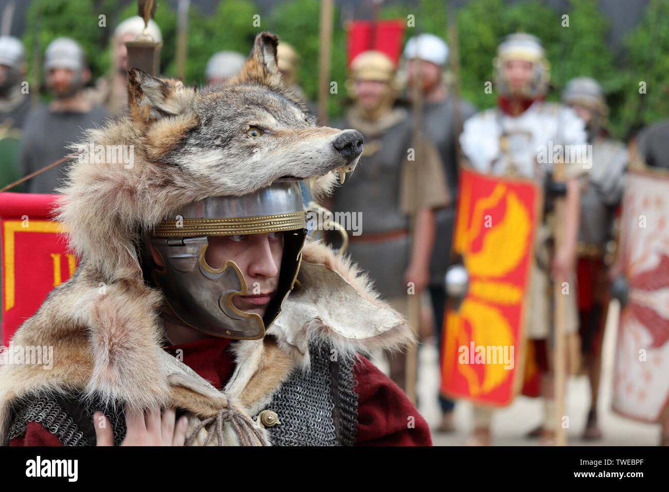 Vexillarium of a Roman Legion in wolfskin and legionaries in the background during festival Times and epochs. Reconstruction of Ancient Rome Stock Photo