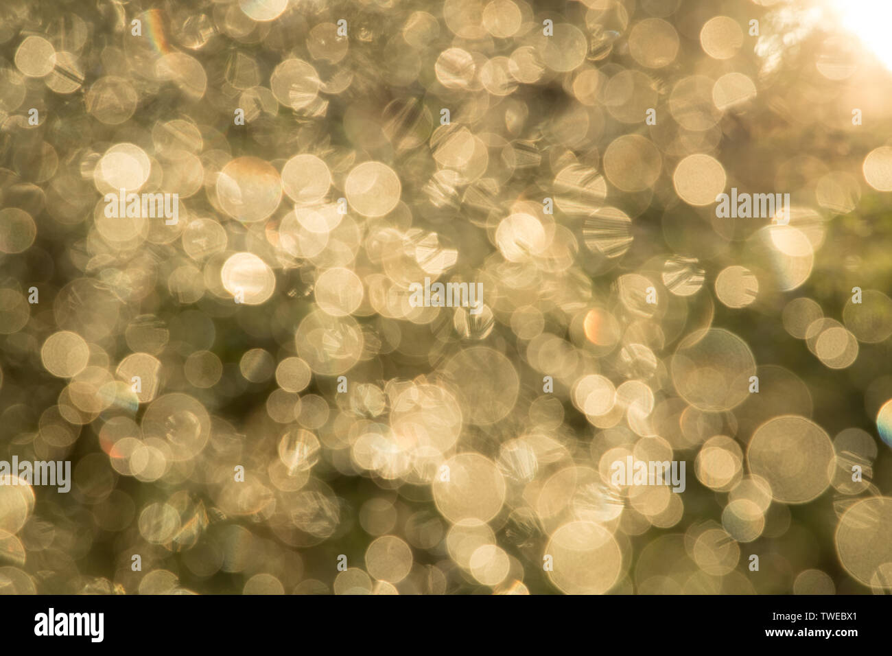 bright bokeh with bright color during daytime Stock Photo