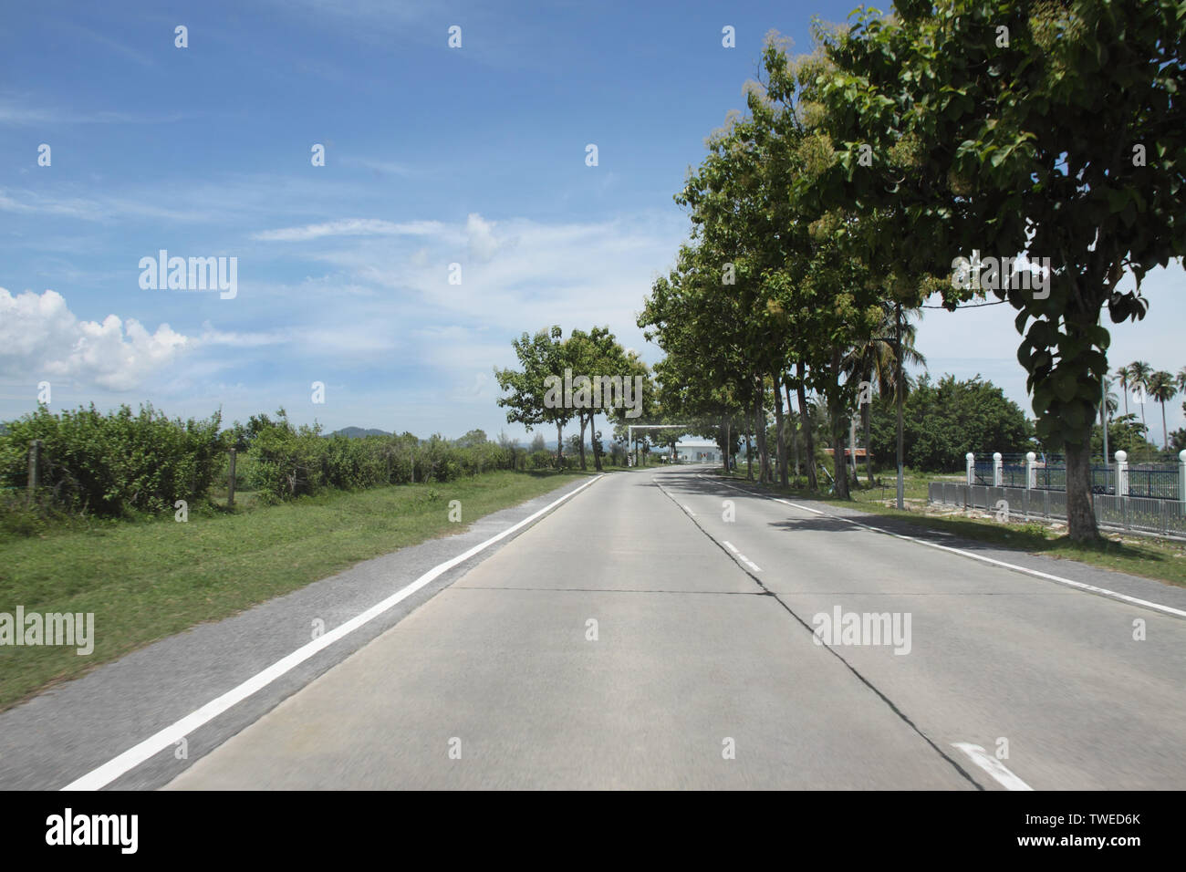 Trees along the motorway hi-res stock photography and images - Alamy
