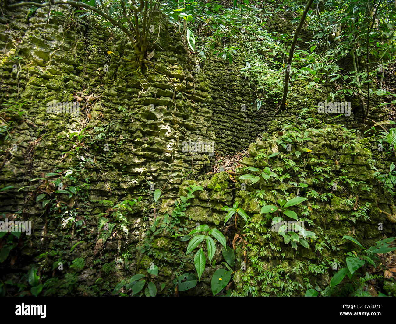 Niah Cave National Park located at Miri Division of Sarawak Malaysia Stock Photo