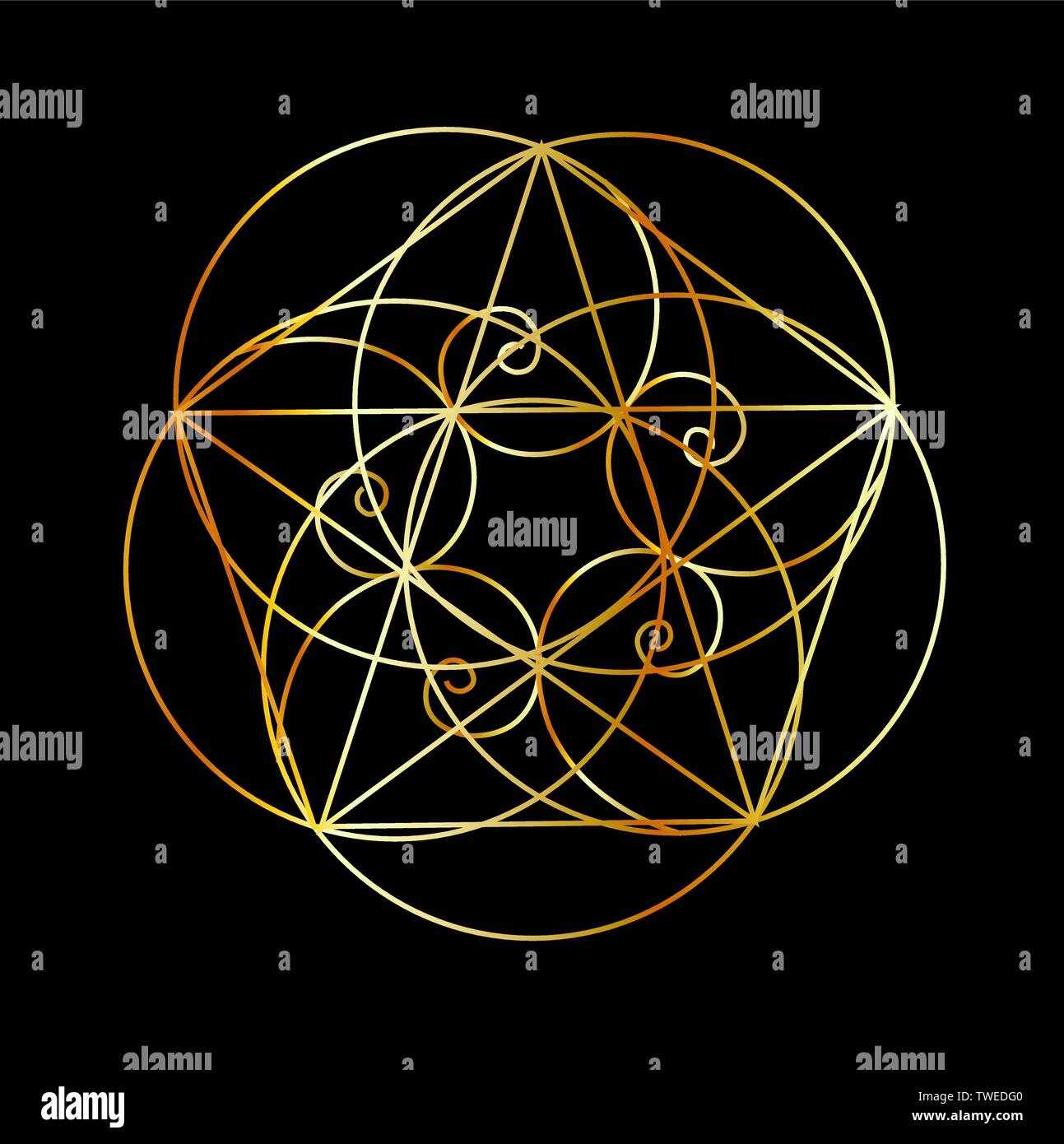 Fibonacci Spiral- The sacred geometry Stock Vector
