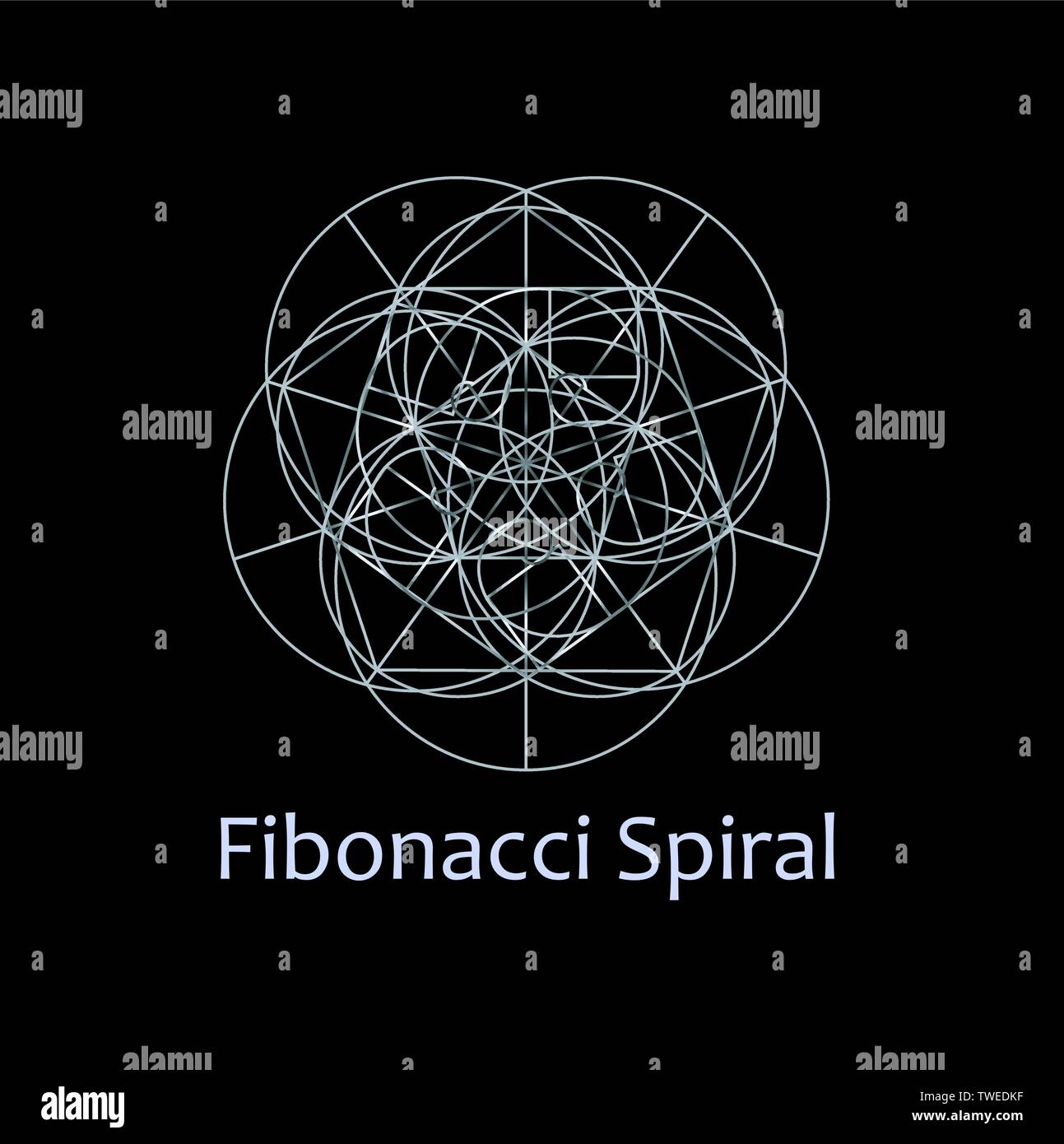 Fibonacci Spiral- The sacred geometry Stock Vector