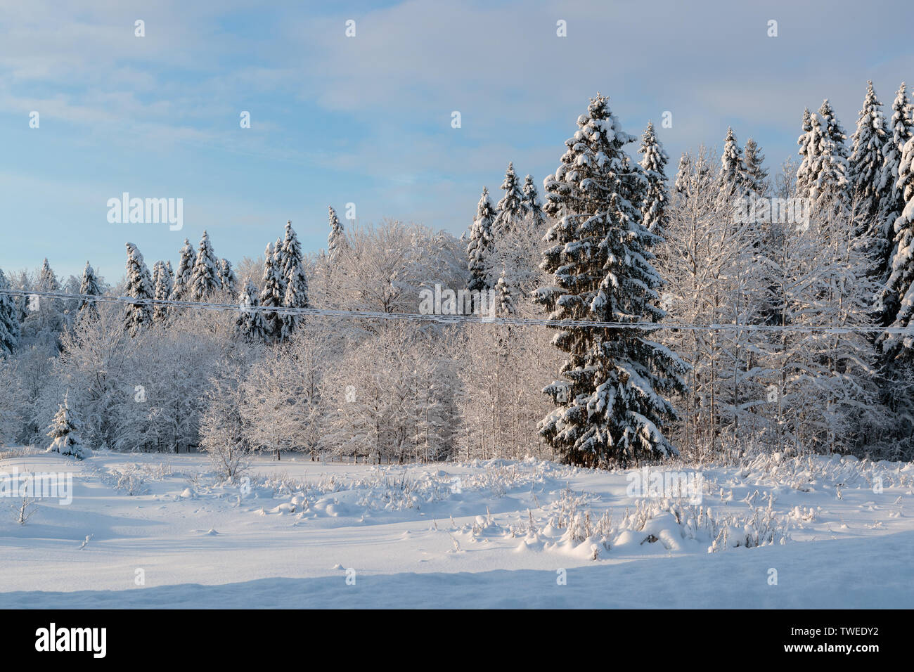 cold and winter landscapes with snow in Russia Stock Photo - Alamy