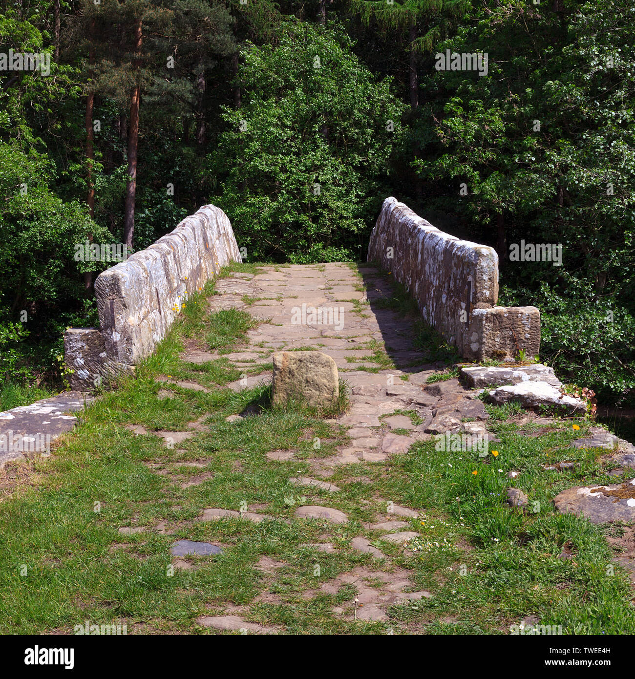 Footbridge over the esk river hi-res stock photography and images - Alamy