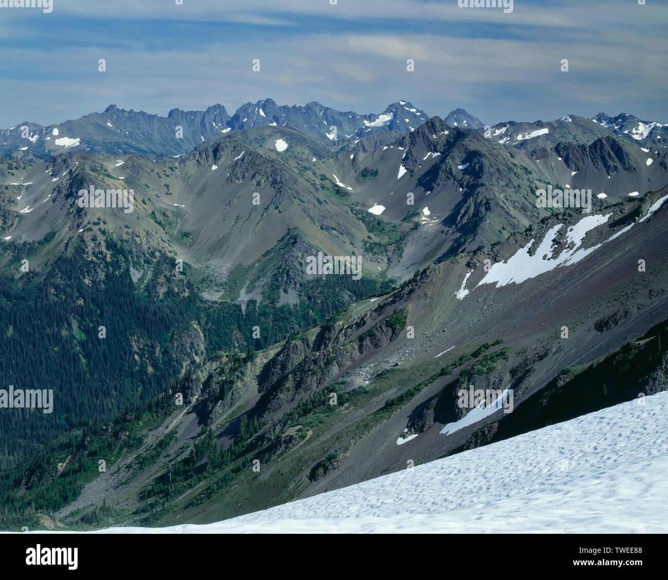 USA, Washington, Olympic National Park, View east from Lillian Ridge towards Grand Valley and The Needles; interior Olympic Mountain. Stock Photo