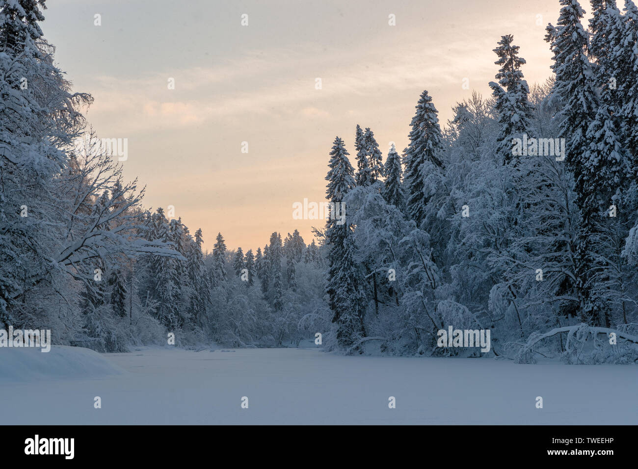 cold and winter landscapes with snow in Russia Stock Photo - Alamy