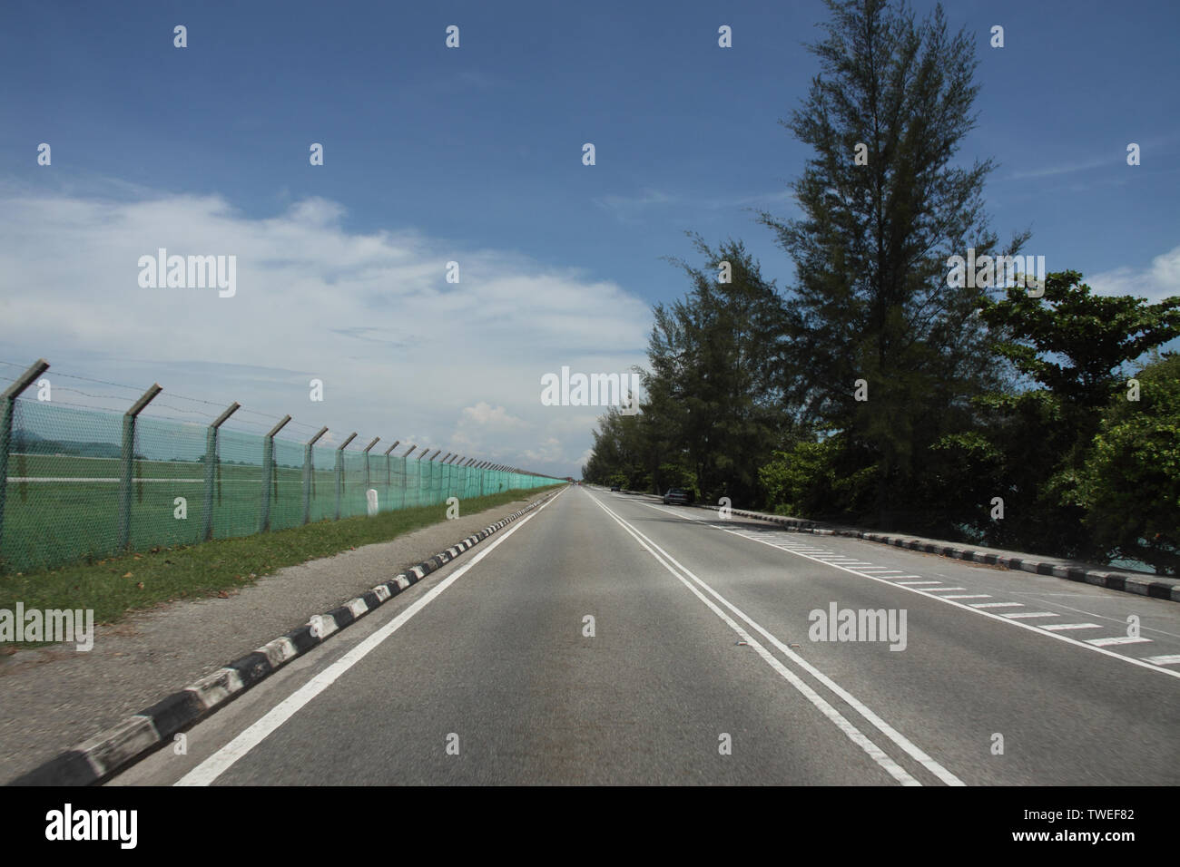 Trees along a road, Malaysia Stock Photo Alamy