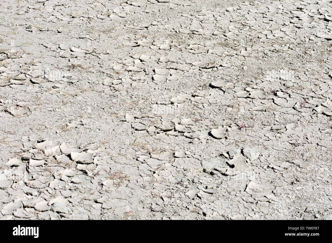 Bleached soil in the drought period with the exfoliation of the surface and with cracks Stock Photo