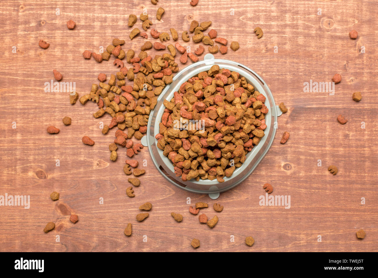 Dried food for dogs or cats Stock Photo Alamy
