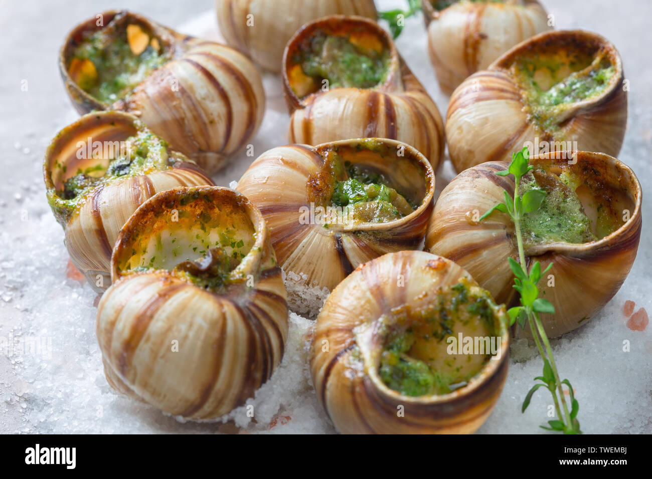 Baked snails with garlic butter and fresh herbs Stock Photo Alamy
