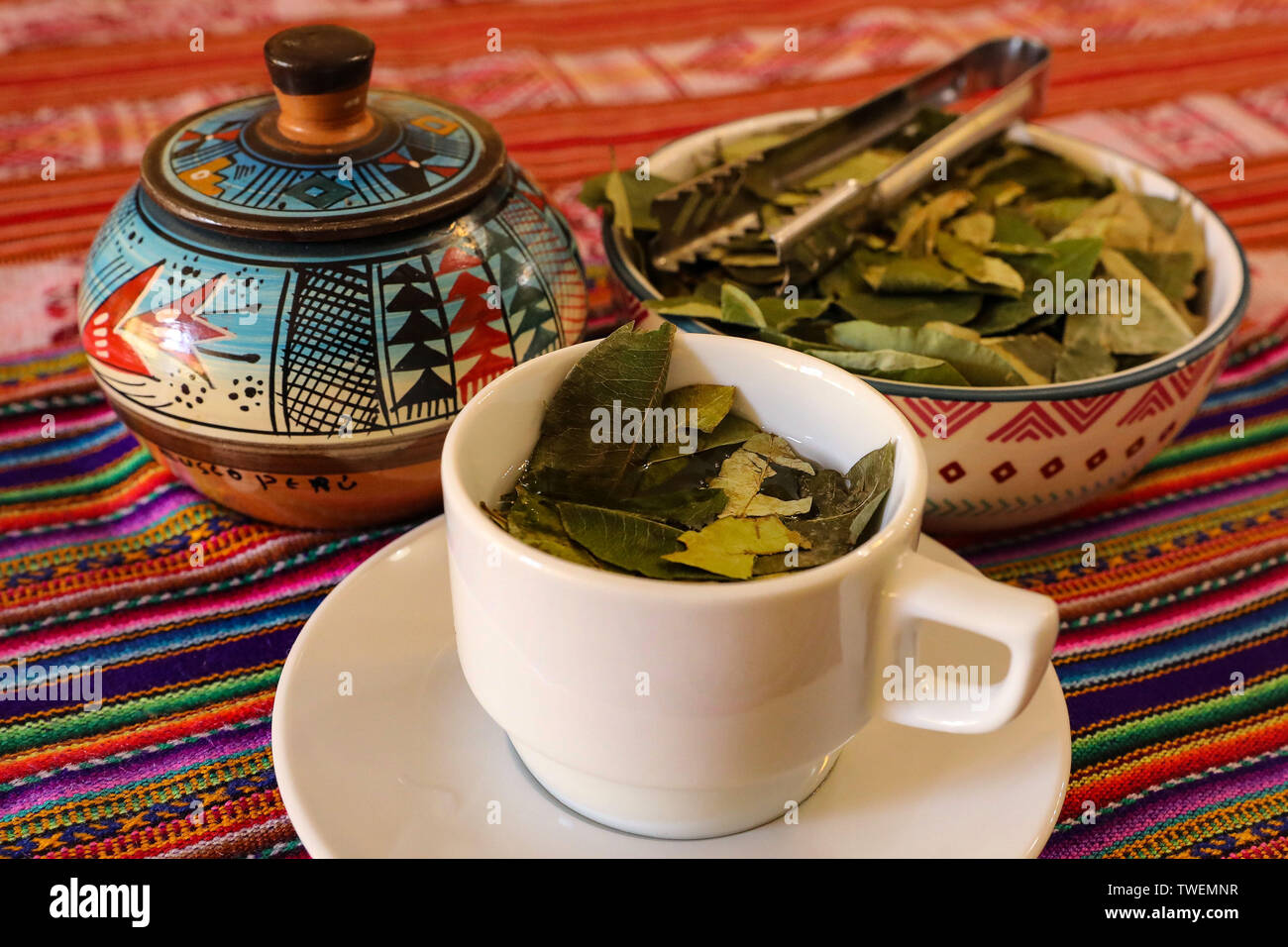 Coca leaves andes hires stock photography and images Alamy