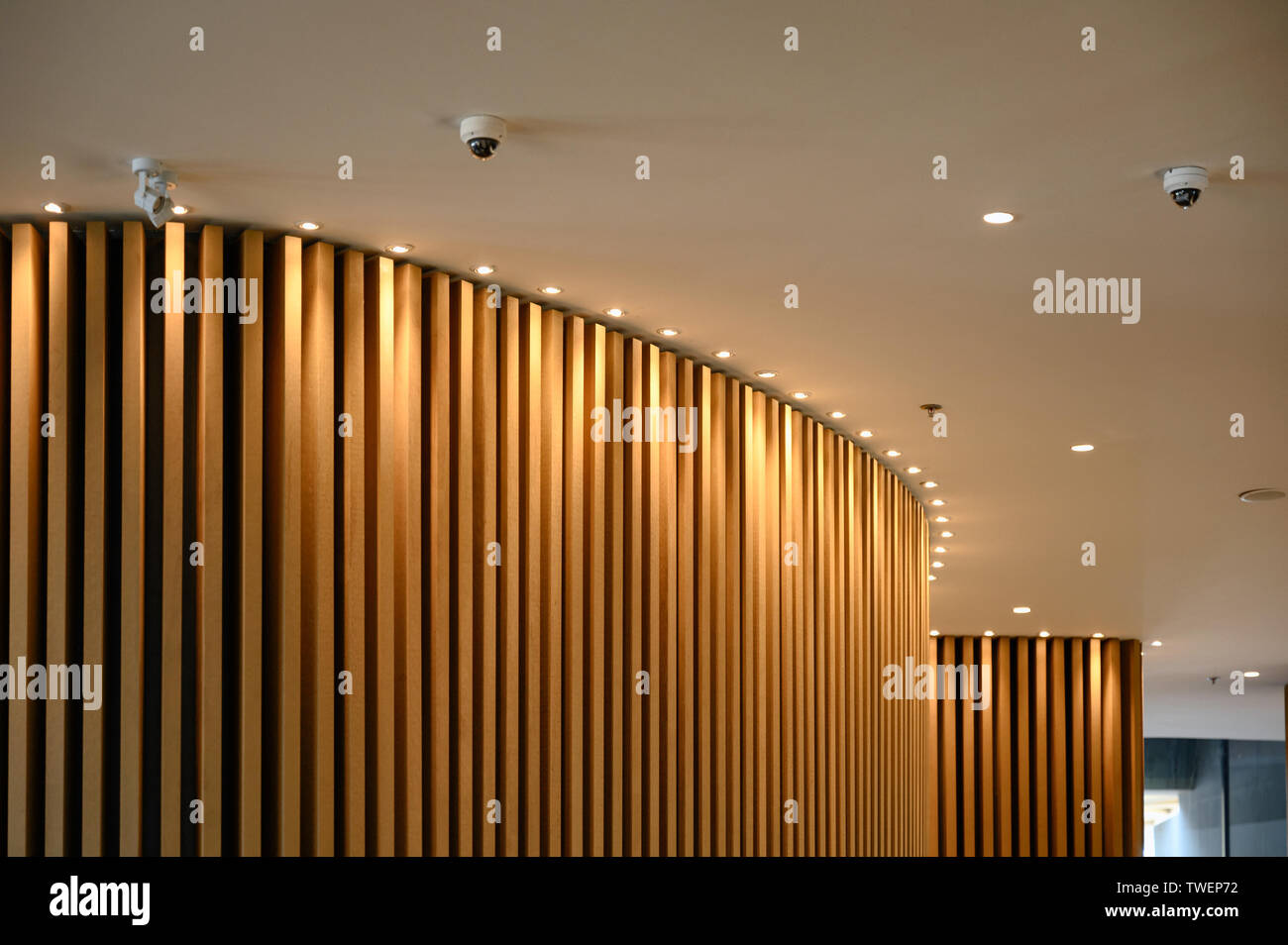 Dome Cctv Install On Ceiling With Light Wooden Design In Lobby