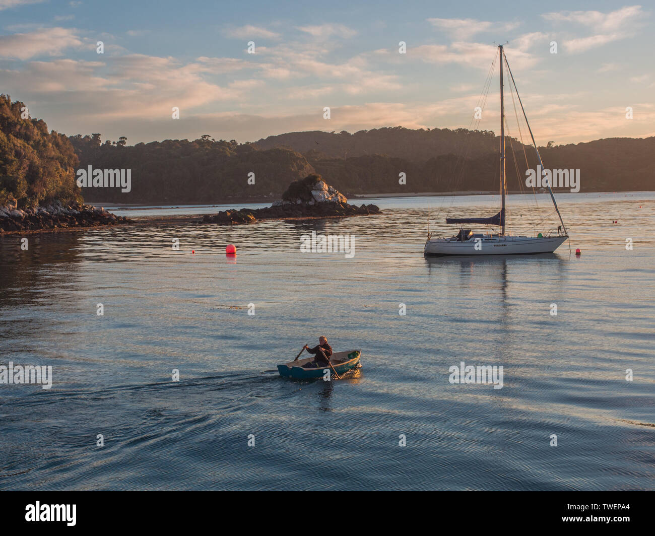 Early morning light reflected by a calm sea, one man rowing a dinghy toward a moored yacht,  Halfmoon Bay, Rakiura Stewart Island, New Zealand Stock Photo