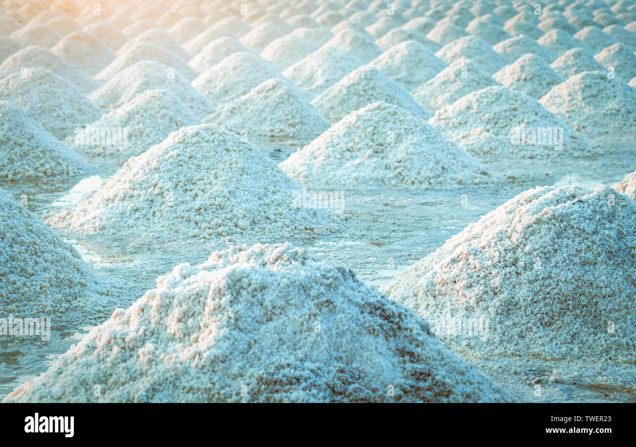 Sea salt farm in Thailand. Organic sea salt. Evaporation and