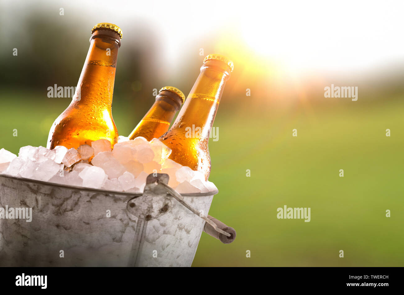 Three beer bottles in metal bucket full of ice cubes in the field close up.  Horizontal composition. Front view Stock Photo - Alamy