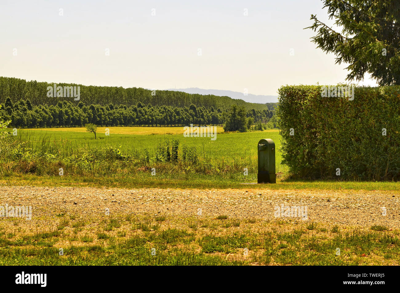 Venaria, Piedmont, Italy.June 2019. At the regional park 'La Mandria' the Peppinella farmhouse. A typical drinking fountain of Turin: the green bull. Stock Photo