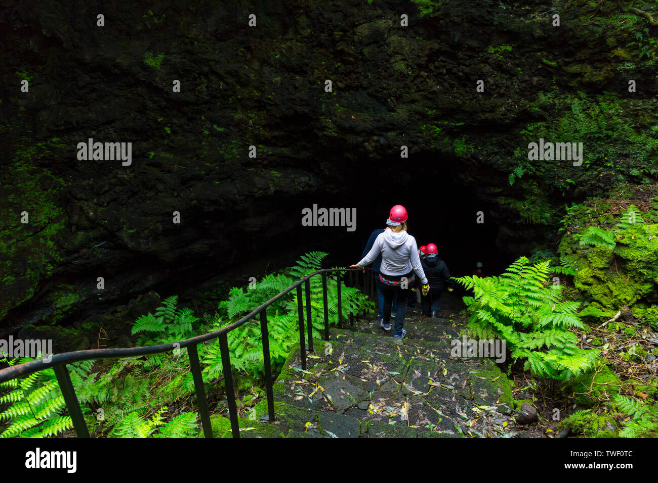 Lava cave Gruta das Torres, Municipality of Madalena, Pico Island, Azores Archipelago, Portugal, Europe Stock Photo