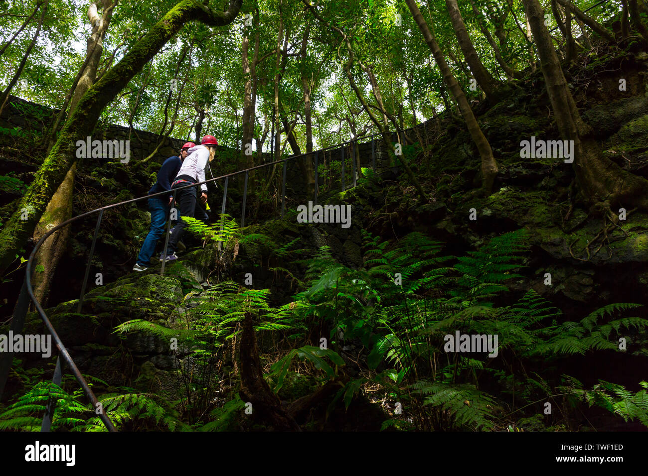 Lava cave Gruta das Torres, Municipality of Madalena, Pico Island, Azores Archipelago, Portugal, Europe Stock Photo