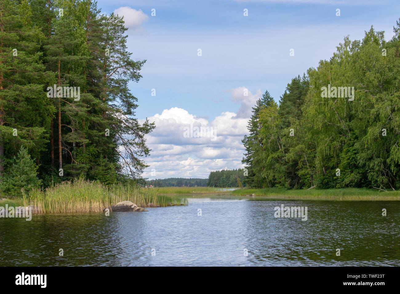 Landscape of Kuopio Lakes at Summer Stock Photo
