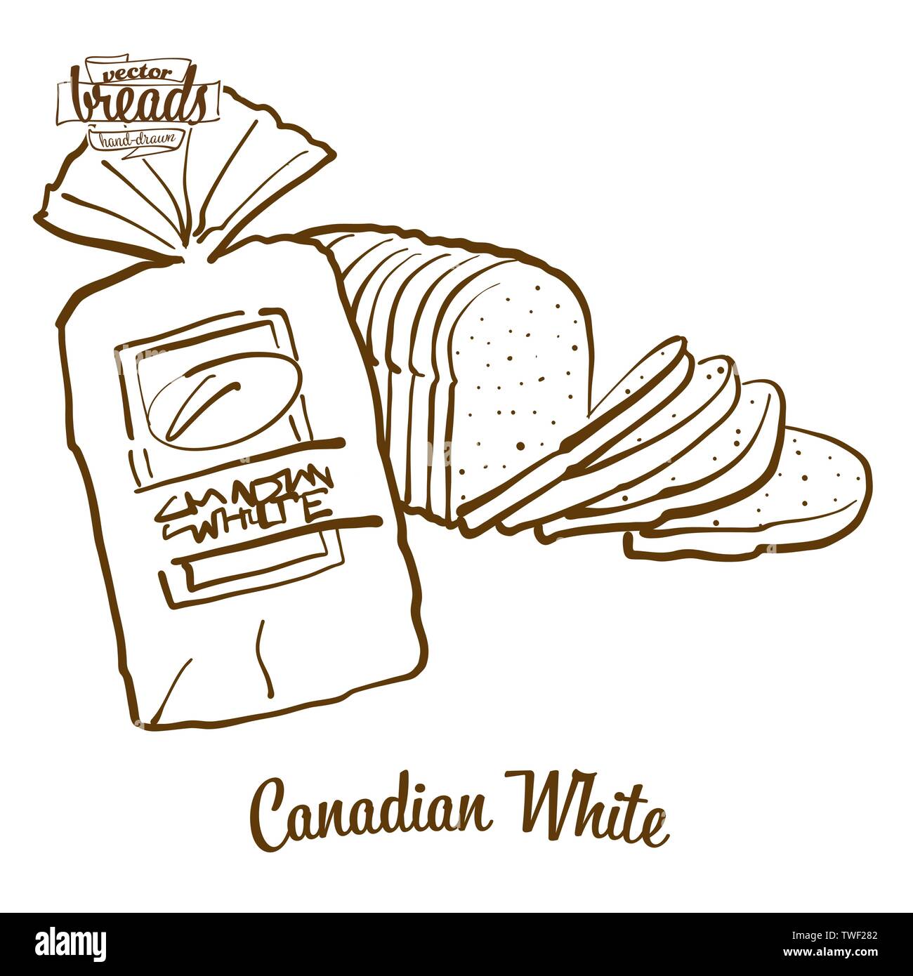 Canadian White bread vector drawing. Food sketch of White, usually known in Canada. Bakery illustration series. Stock Vector