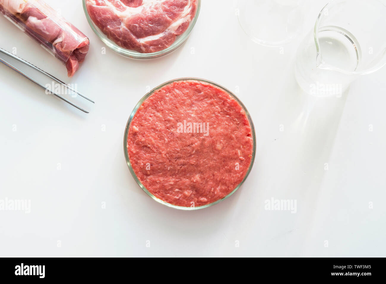 Laboratory studies of meat. Minced meat in glass Petri dish. View ...