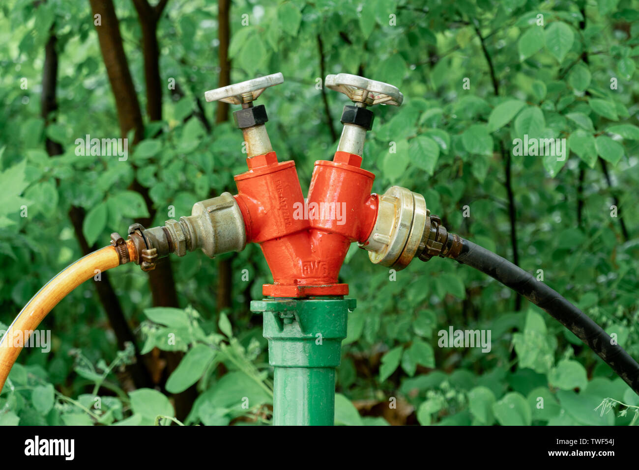 Professional irrigation system for public green areas and parks