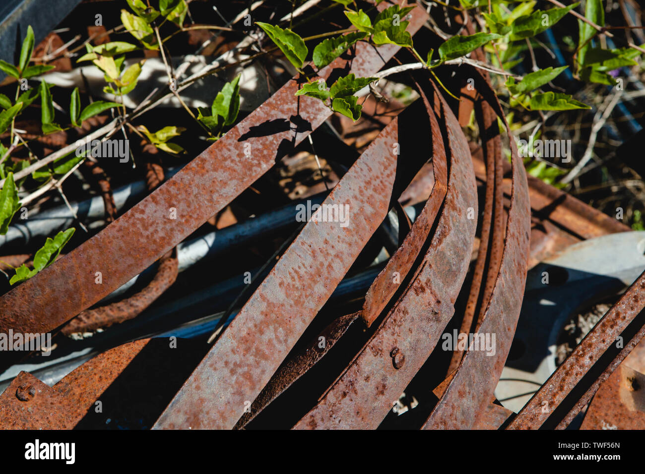 Rusted iron bands on the ground Stock Photo Alamy