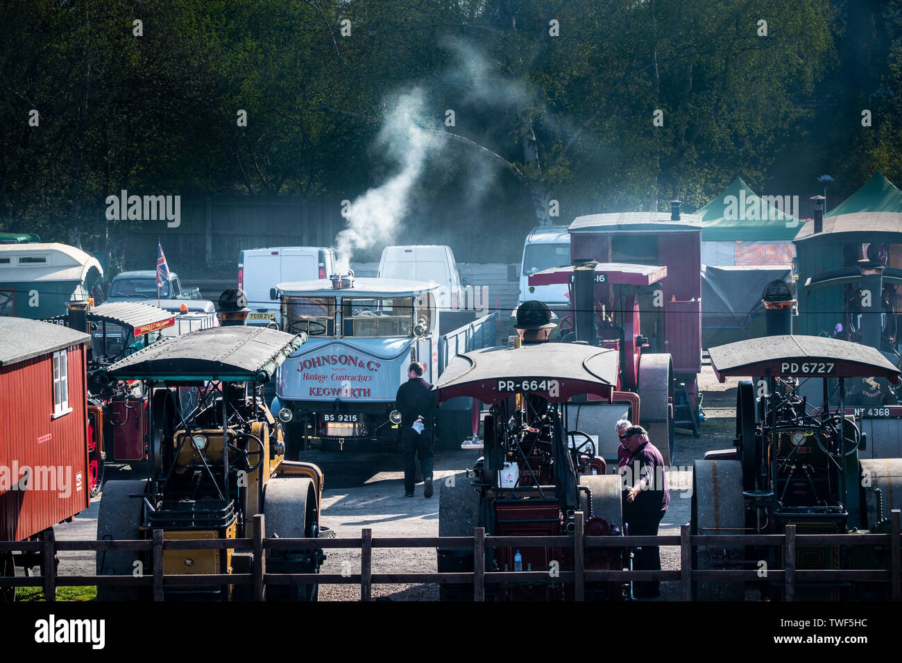 Steam rollers and a steam lorry at a rally. Stock Photo
