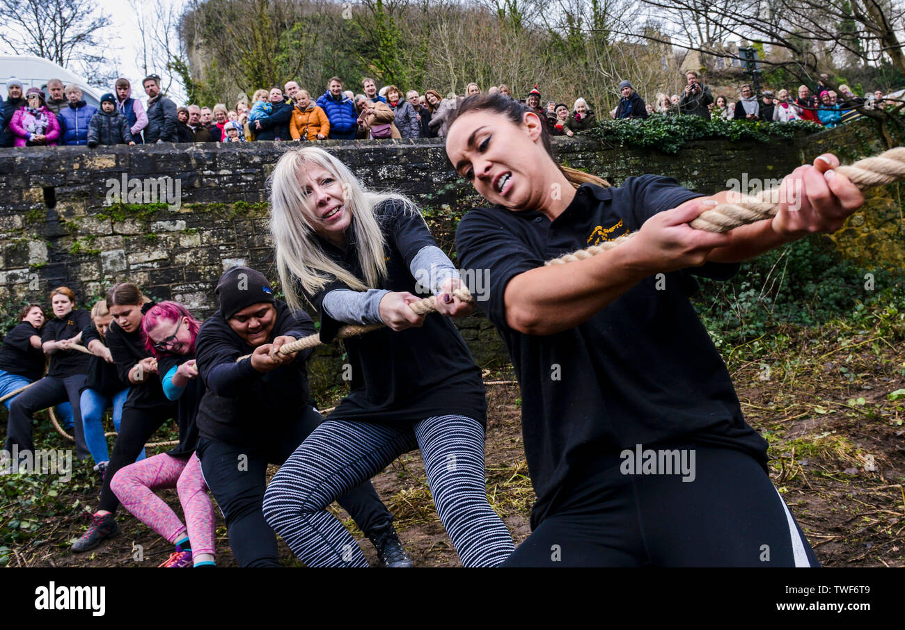 Women competing in the traditional Boxing Day Tug of War between the banks of the River Nidd with teams from the Half Moon pub and the Mother Shipton pub. Stock Photo