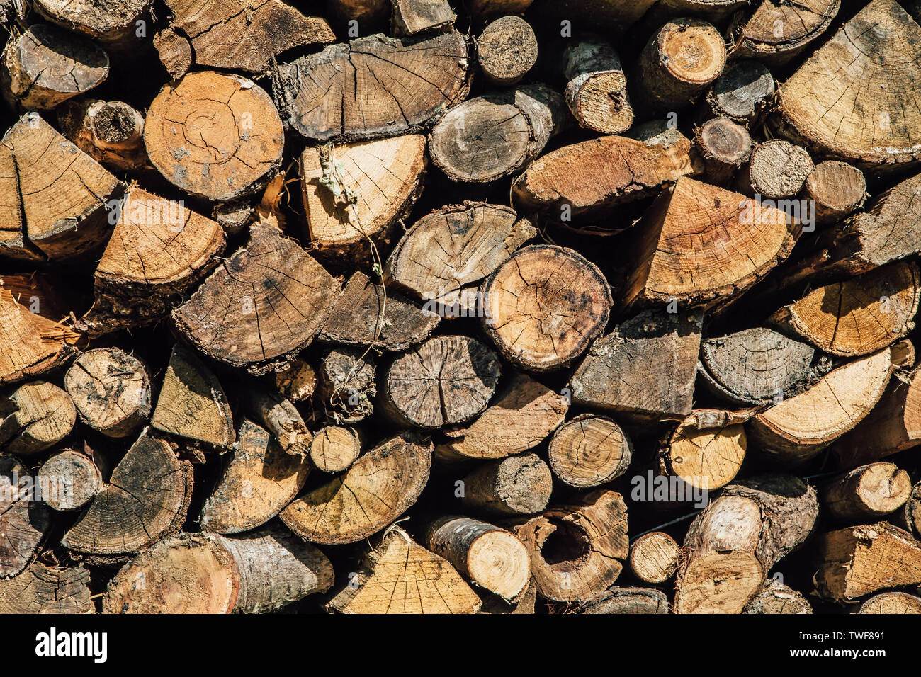 Wood Pile Stacked Logs Stock Photo