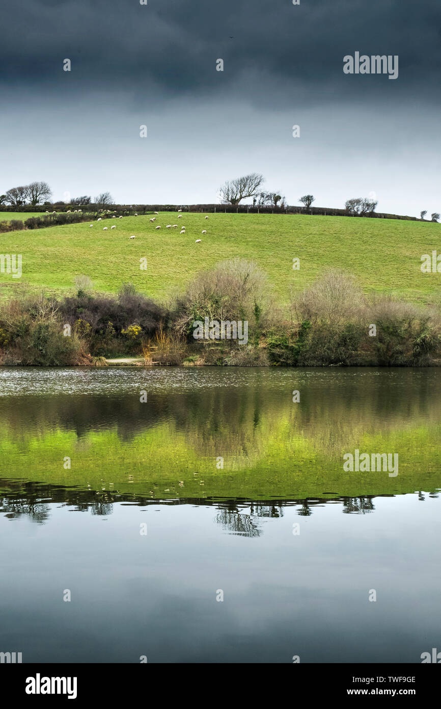 Reflection in the still water in Porth Reservoir in Cornwall. Stock Photo