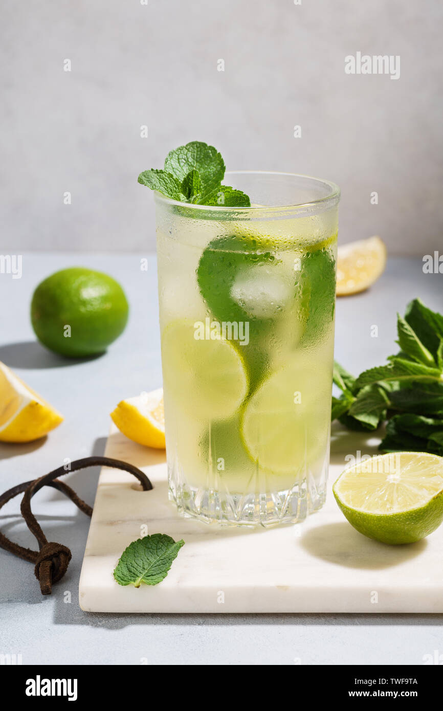 Detox water infused with sliced lemon, lime and mint. Healthy drink concept. Stock Photo