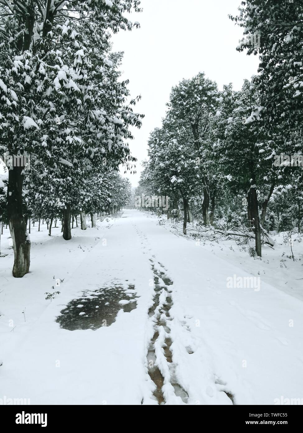 Snow Running Way Snow and ice roads hi-res stock photography and images - Alamy