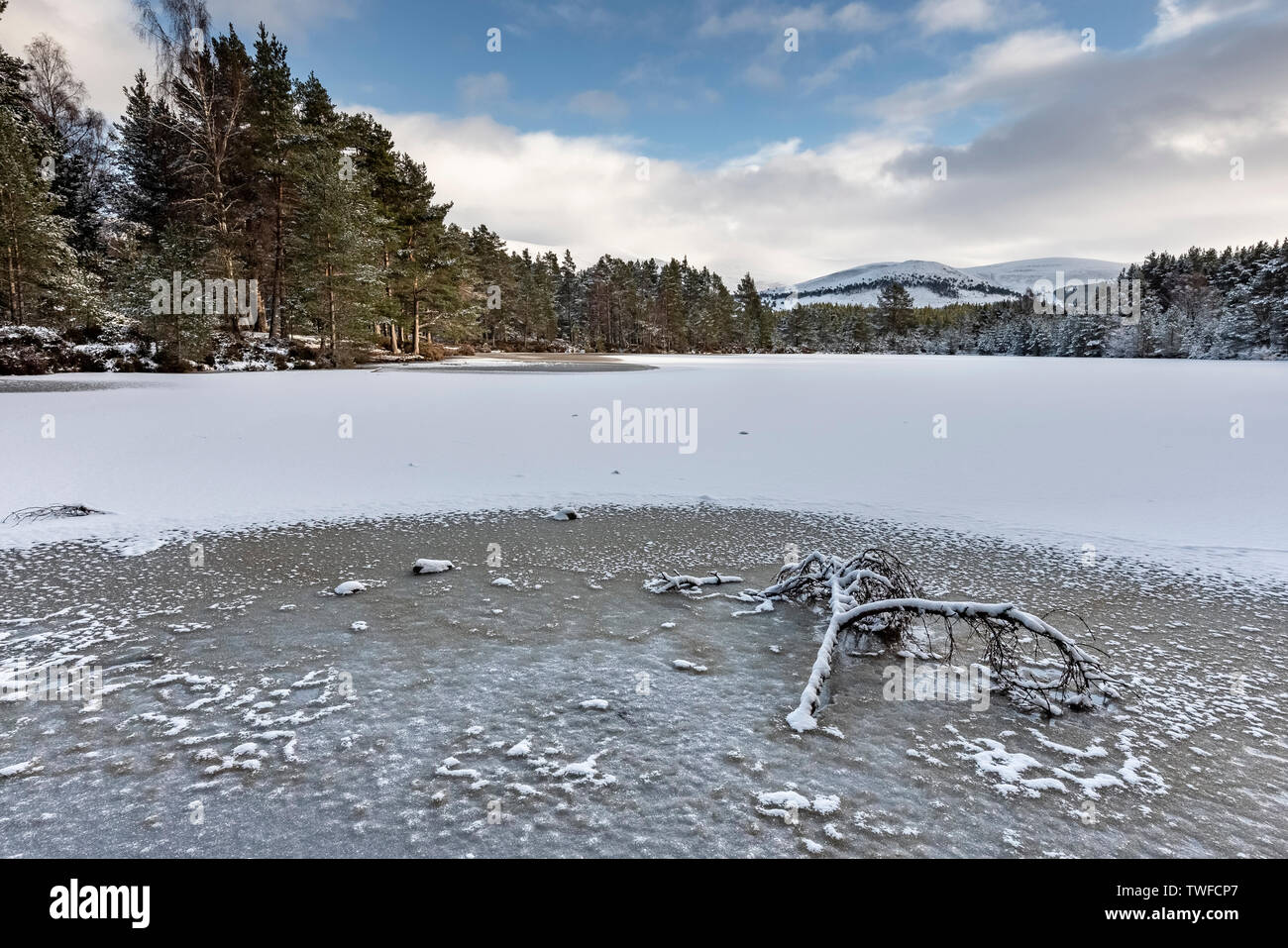 Uath Lochan in Winter at Glen Feshie in the Cairngorms National Park. Stock Photo