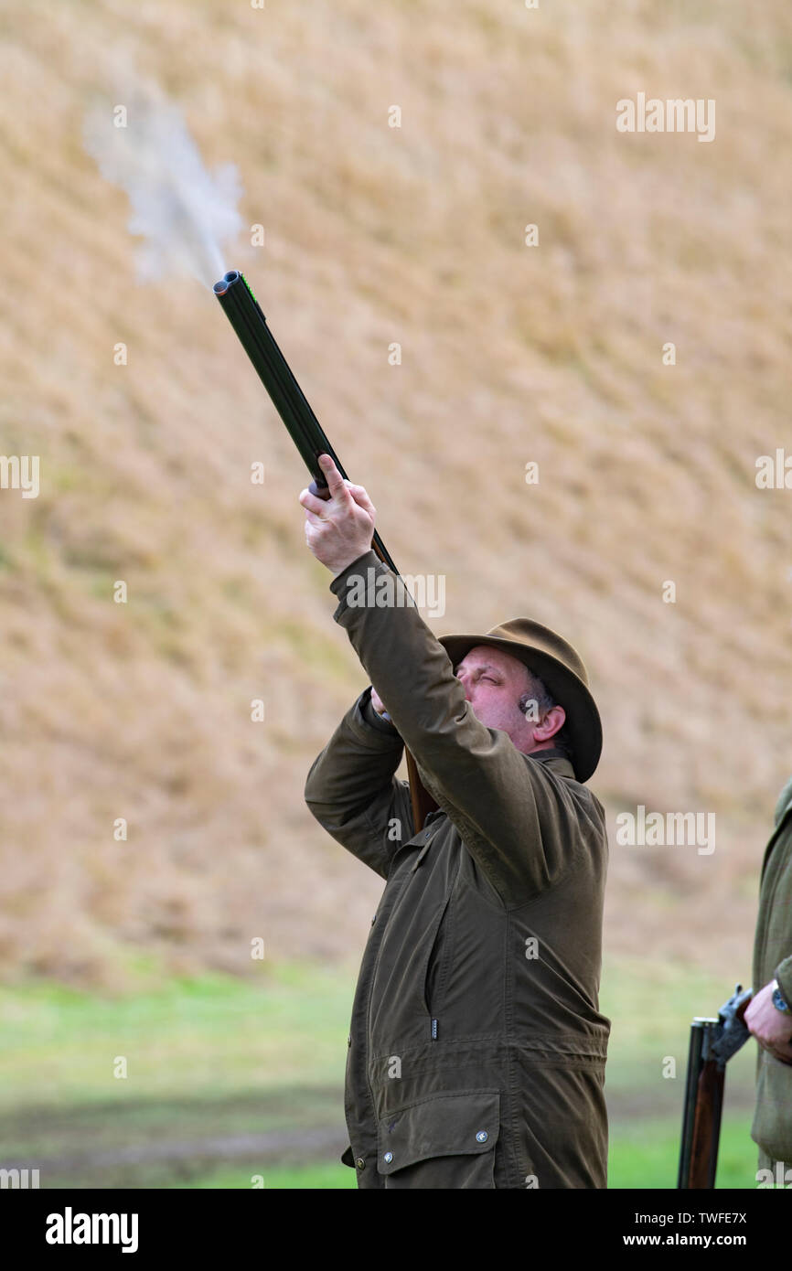 Pheasant and partridge shooting in autumn countryside with gun dogs. Stock Photo