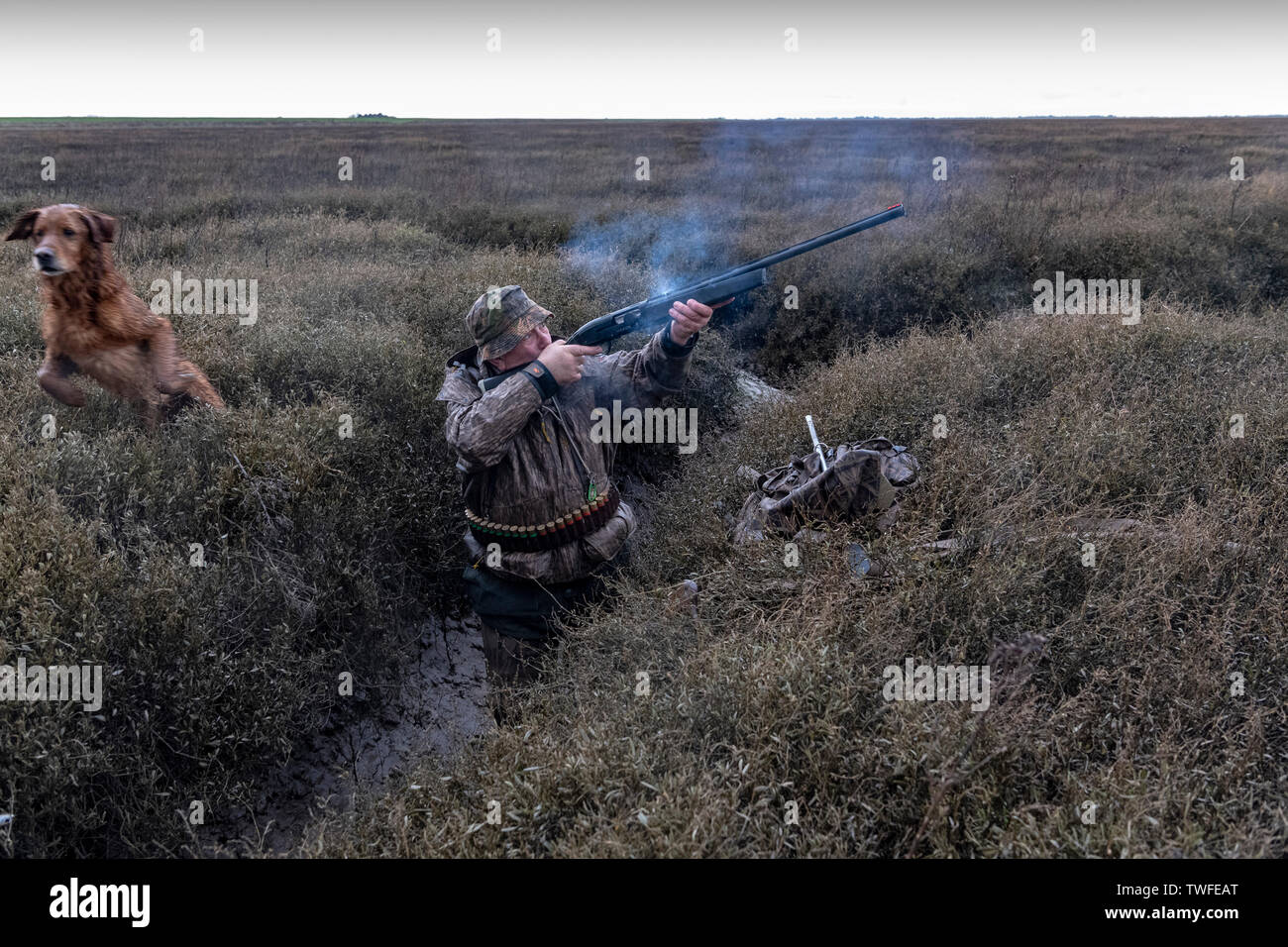 Wildfowling on the Lincolnshire Wash with the shooter taking a shot with retrieving gundog on the marshes with storm clouds and rain. Stock Photo