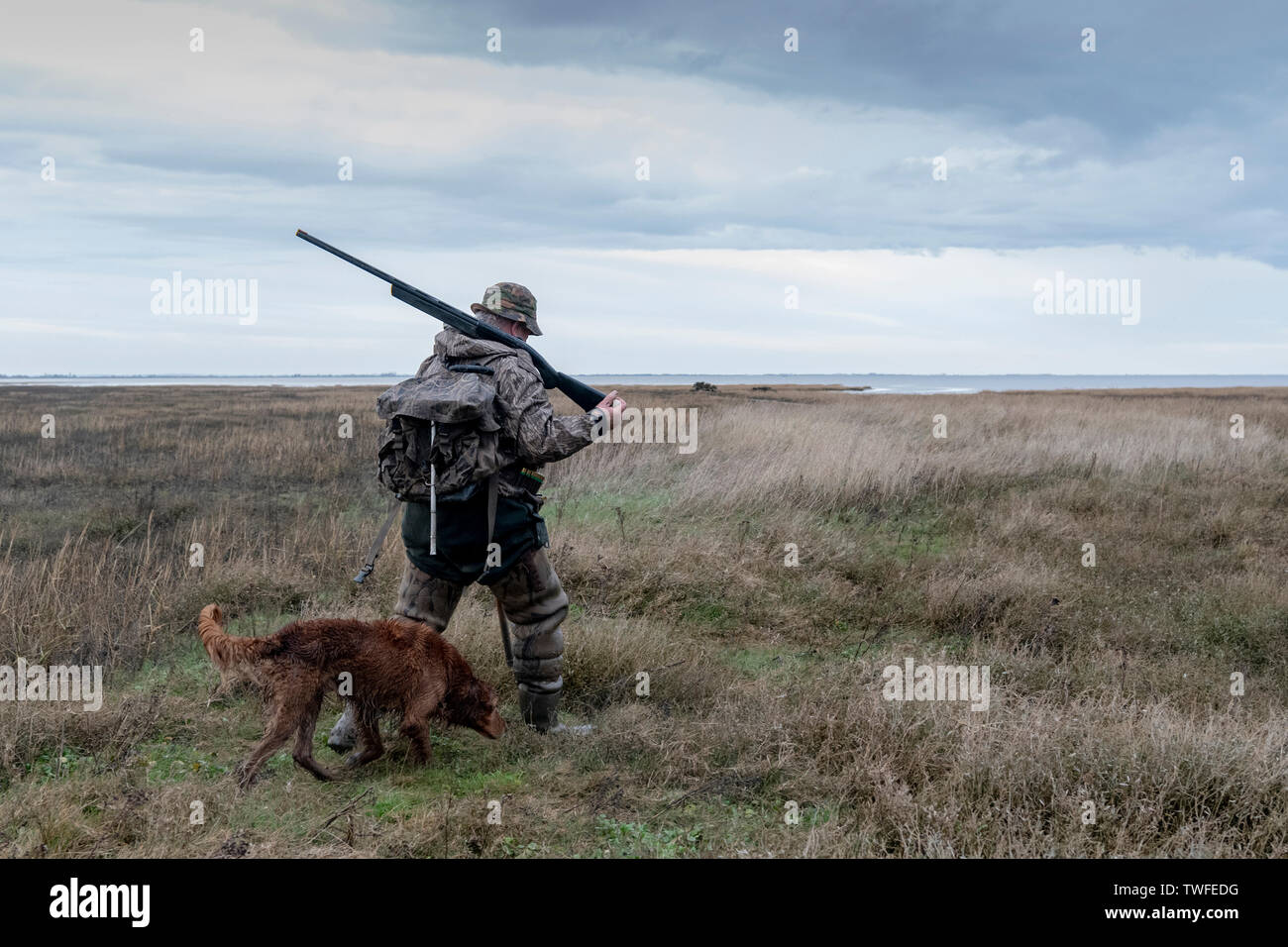 Wildfowling on the Lincolnshire Wash with shooter and gundog looking over the marshes with storm clouds and rain. Stock Photo
