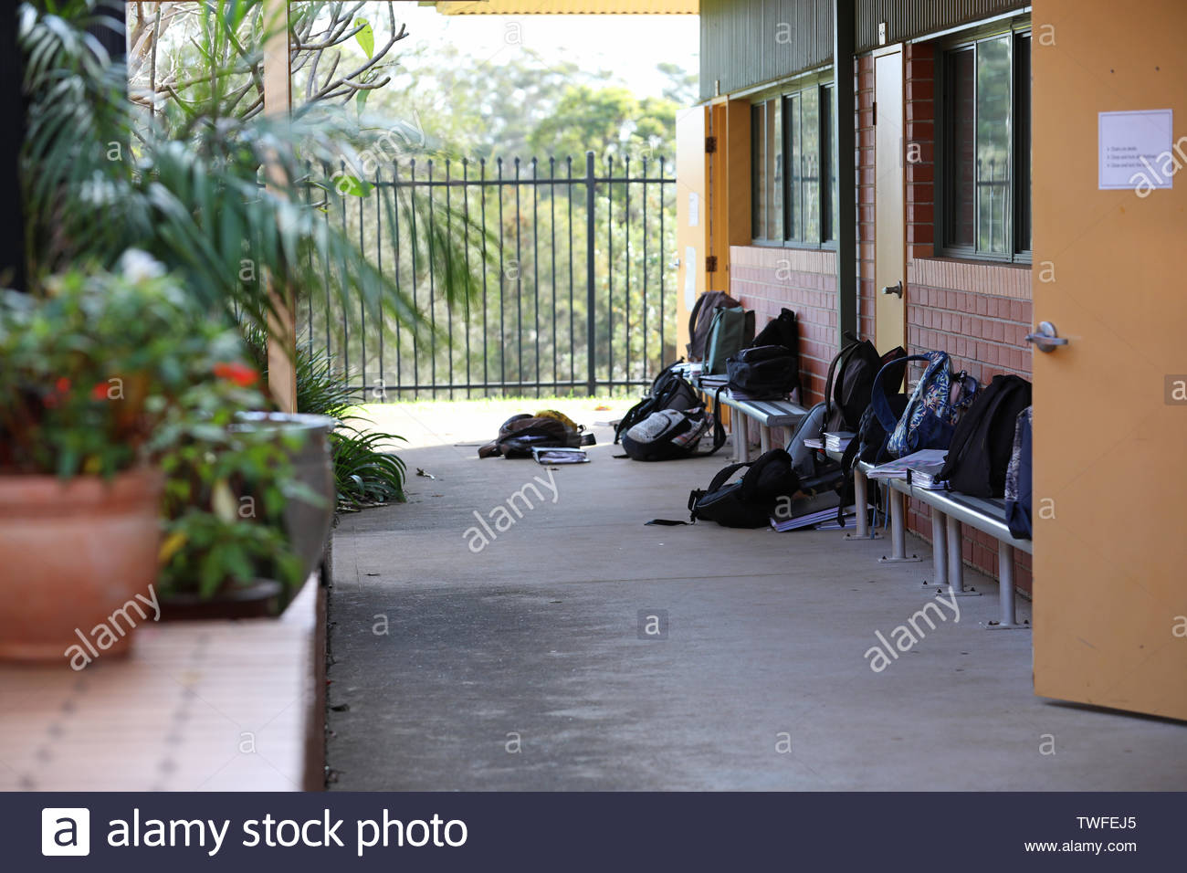 Exterior View Of School Bags Backpacks And Study Notes Folders